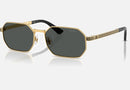 VE2297 / Pale Gold/Dark Grey(100287) / 54-16-145