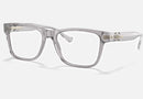 VE3303 / Transparent Pink(593) / 55-18-140