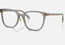 VE3378D / Transparent Grey(5510) / 54-16-140