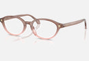 VE3393D / Brown/Pink - Brown Transparent(5435) / 53-17-140