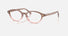 VE3393D / Brown/Pink - Brown Transparent(5435) / 53-17-140