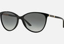VE4260 / Black/Grey Gradient(GB1/11) / 58-16-140