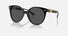 VE4442 / Black/Dark Grey(GB1/87) / 55-20-140