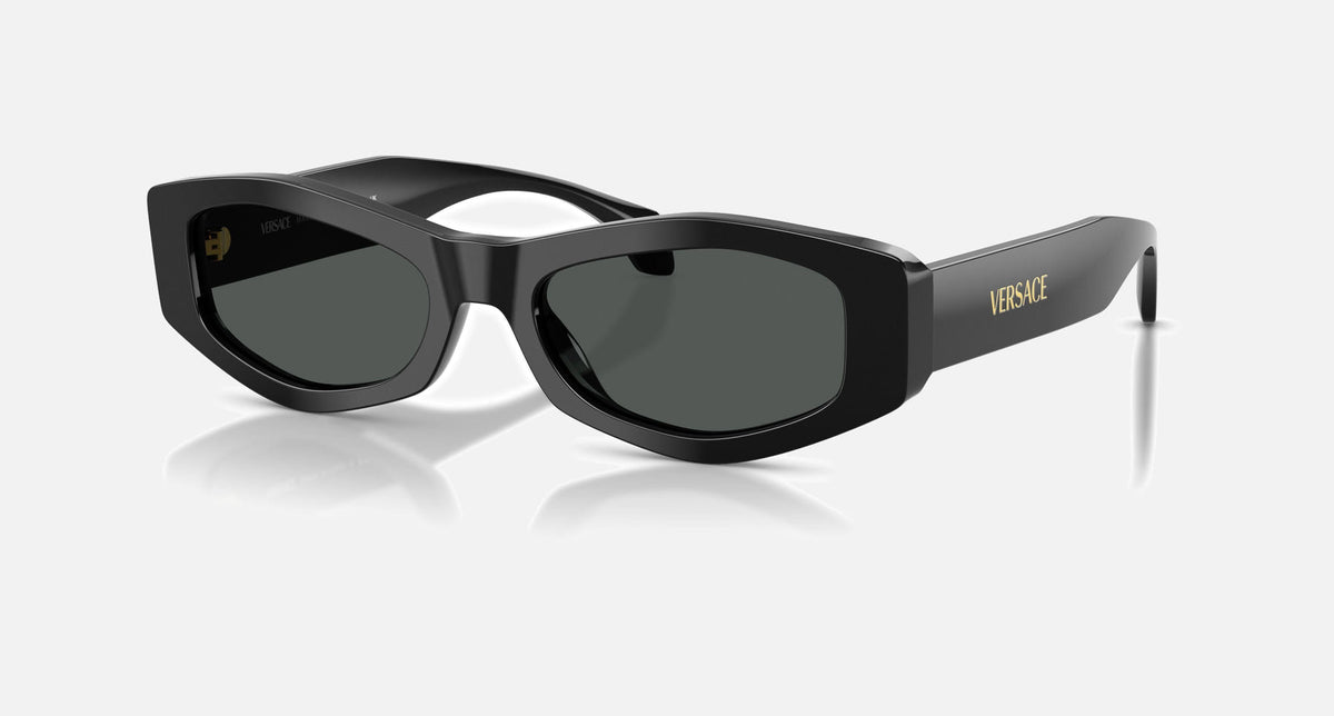 VE4487 / Black/Dark Grey(GB1/87) / 54-19-140