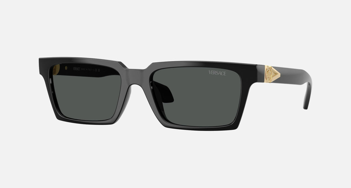 VE4490U / Black/Dark Grey(GB1/87) / 55-18-140