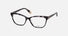 VFU436 / Shiny Grey/Black Havana(0721) / 55-15-135