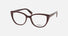 VFU765 / Shiny Full Brown(06YW) / 53-17-140