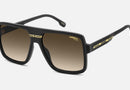 VICTORY C 09/S / Black Gold(I46) / 59