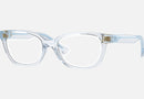 VK3006U / Transparent Blue(5480) / 46 mm