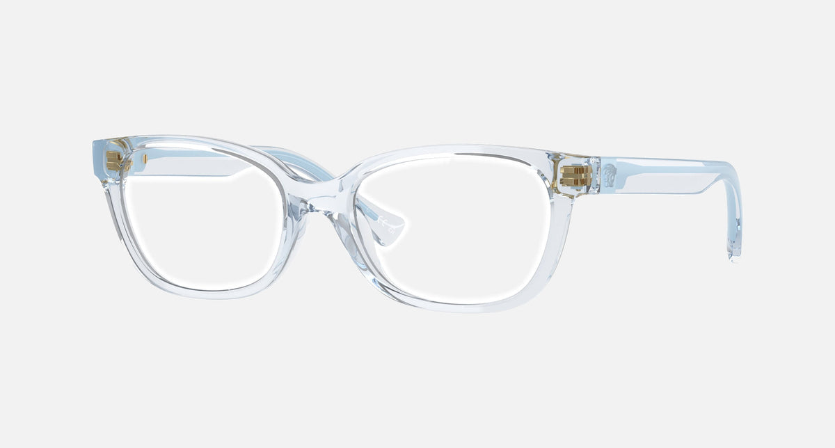 VK3006U / Transparent Blue(5480) / 46 mm