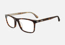VPLD03 / Tortoise(0722) / 55-18-145