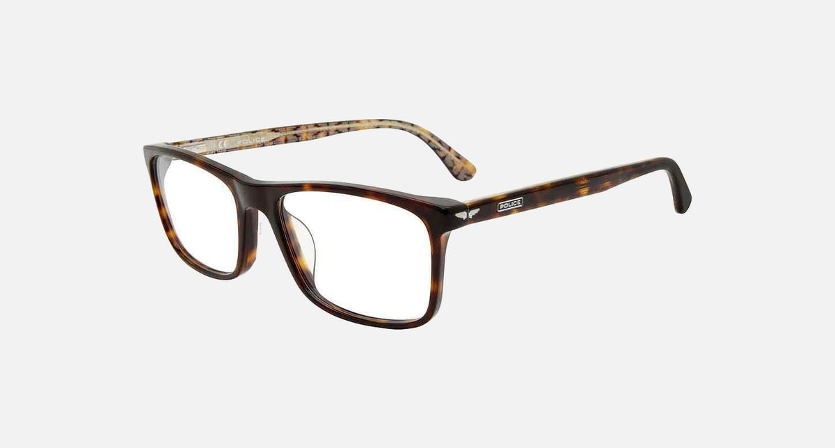 VPLD03 / Tortoise(0722) / 55-18-145