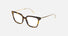 VPLD26 / Shiny Brown Havana(09AJ) / 52-17-140