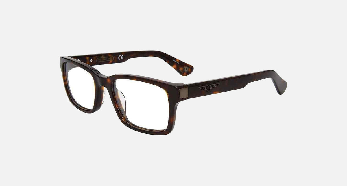 VPLE36 / Tortoise(0722) / 52-19-145