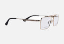 VPLR61 / Gold and black(0300) / 55-18-145