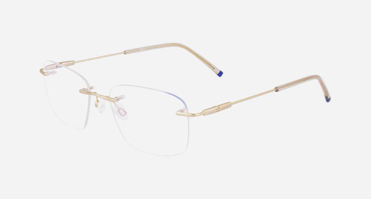 ZS22110 / Satin Gold(717) / 53-17-145