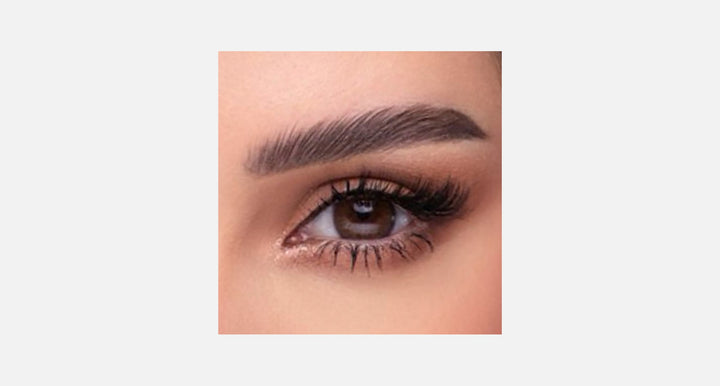 Amara One Day - 10 Lenses - Chocolate product image