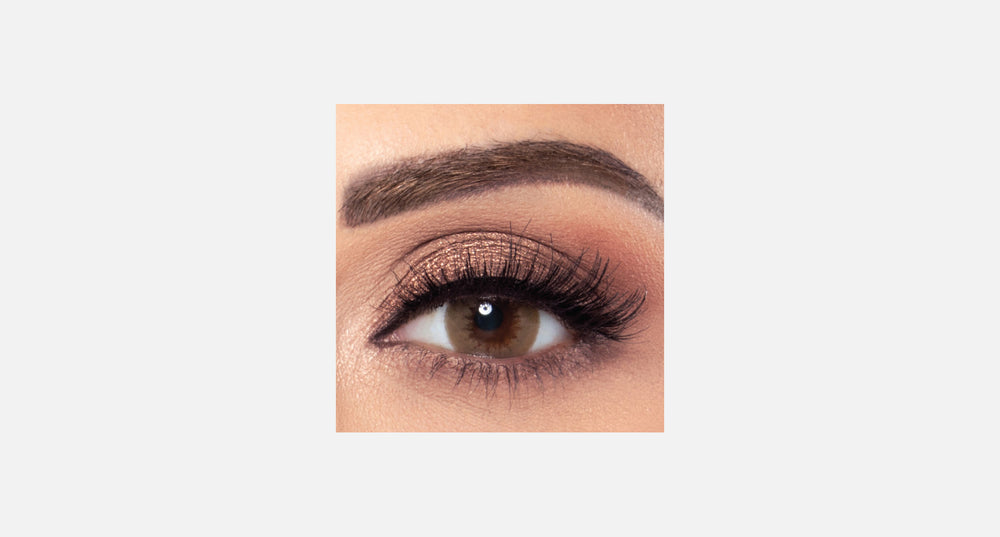 Amara One Day - 10 Lenses - Mocca product image
