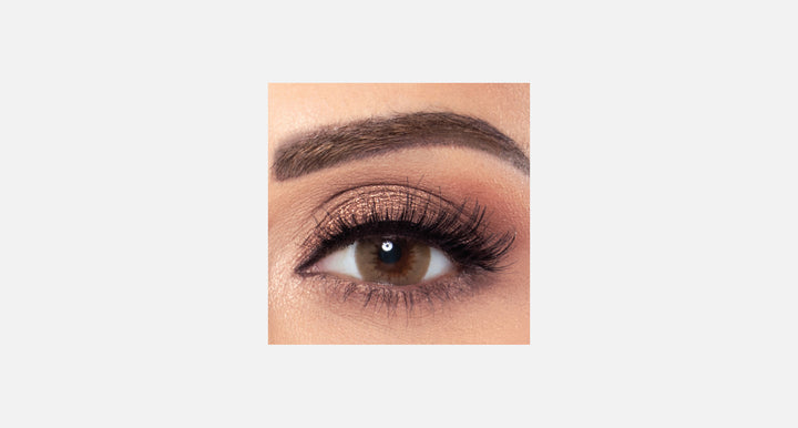 Amara One Day - 10 Lenses - Mocca product image