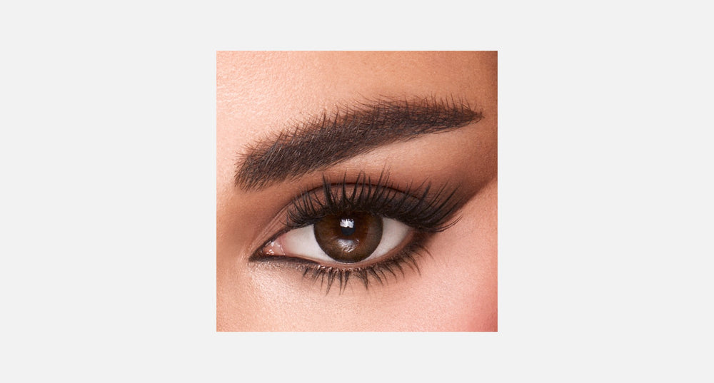 Amara One Day - 10 Lenses - Nmr product image