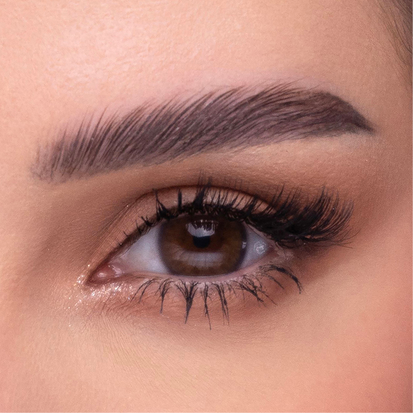 Amara Celebrity Edition - 2 Lenses - Chocolate official AMARA image