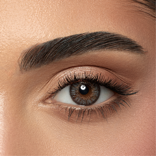 Amara One Day - 10 Lenses - Gray official AMARA image