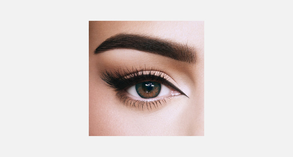 Amara One Day - 10 Lenses - Shark Gray product image