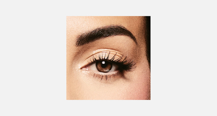 Amara - 2 Lenses - Walnut product image