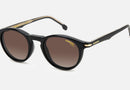 CA 297/CS/N / Black/Brown Polarized(807/LA) / 48-21-145