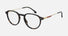 CA 1119 / Dark Havana Gold(086) / 49-20-145