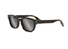 CD ICON S1I-DIOR MAN / Tortoise/Grey(20A4) / 54-19-140