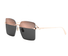 CDIOR S3U-DIOR WOMAN / Shiny Gold/Rose/Grey(E0A7) / 58-15-135