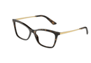 DG3347 Dolce & Gabbana® / Havana(502) / 54-16-145