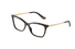 DG3347 Dolce & Gabbana® / Havana(502) / 54-16-145
