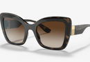 DG6170 Dolce & Gabbana® / Dark Havana/Brown Gradient(330613) / 53-22-145