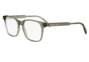 DIORBOTANICAO S1I DIOR MAN / Transparent Khaki(7800) / 53-17-145