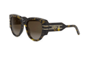 DIORSIGNATURE R2I-DIOR WOMAN / Havana/Gradient Brown(20F1) / 53-20-140