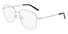 DK1031 DKNY / Rose Gold(770) / 54-16-135