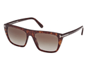 FT1175-Tomford Aslan / Dark Havana/Gradient Smoke(52B) / 56-18-145