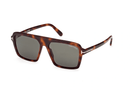 FT1176-Tomford Vincent / Blonde Havana/Green(52N) / 56-15-145