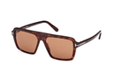 FT1176-Tomford Vincent / Dark Havana/Brown(52E) / 56-15-145