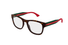 GG1074OA Gucci / Havana(002) / 53-19-145