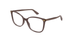 GG0026O Gucci / Brown(019) / 53-17-140
