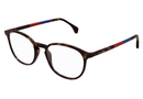GG0551O-Gucci / Havana(022) / 50-19-145