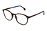 GG0551O-Gucci / Havana(022) / 50-19-145
