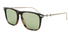 GG0672S Gucci / Dark Havana/Gold/Green(003) / 56-16-150