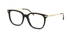 GG0968O Gucci / Gold/Black(001) / 50-18-140