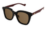GG1000SK Gucci / Havana/Brown(002) / 55-20-145