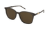 GG1158SK Gucci / Brown Transparent/Brown(002) / 55-18-145