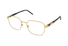 GG1161O Gucci / Gold/Havana(004) / 54-19-145